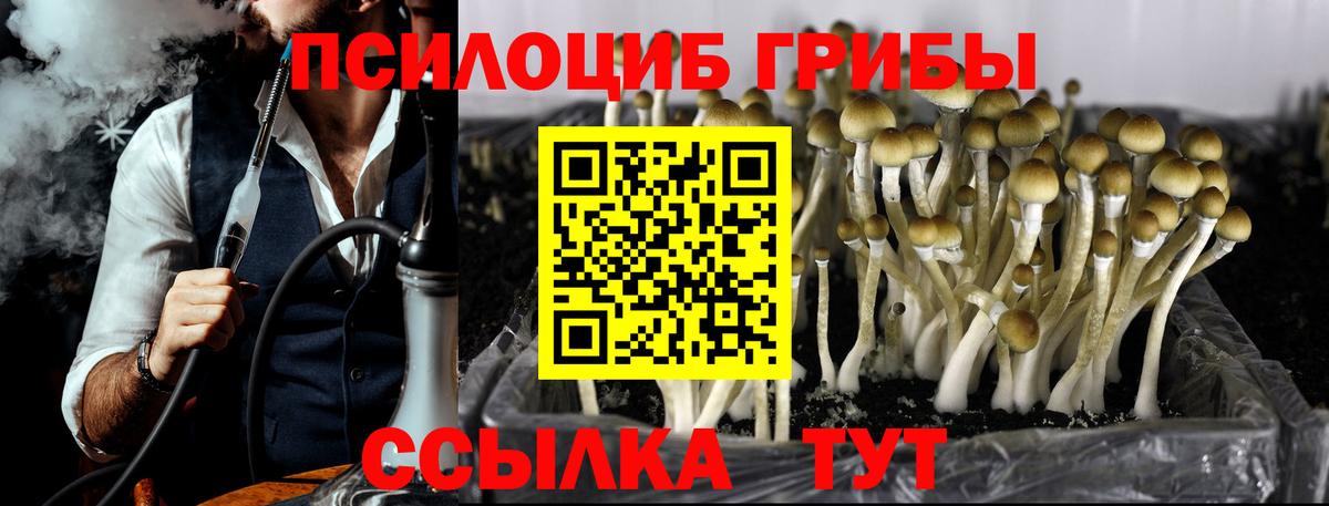 Псилоцибиновые грибы мухоморы  Псилоцибиновые грибы прущие грибы  как найти закладки  Вход с VPN  Сердобск 